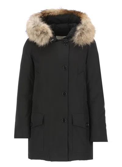 Woolrich Artic Parka In Black