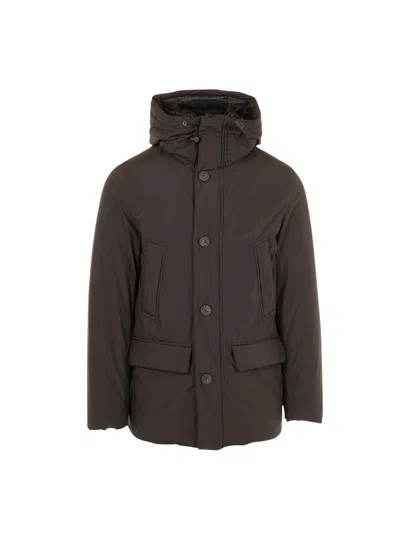Woolrich Cloud Parka In Brown