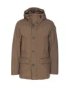 Woolrich Cloud Arctic Parka In Brown