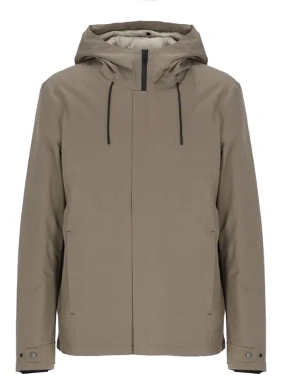 Woolrich Coats In Brown