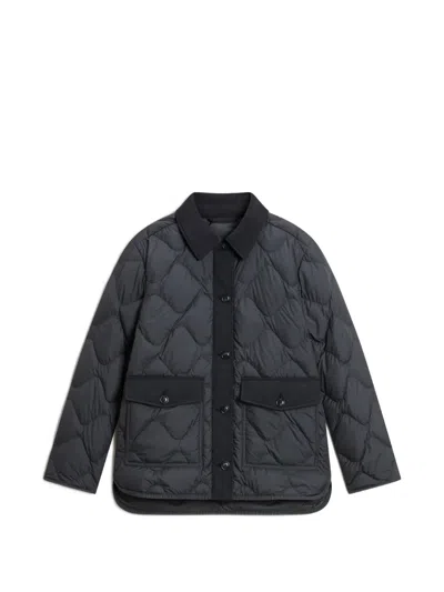 Woolrich Heritage Quilted Stand-up Collar Jacket In Gray