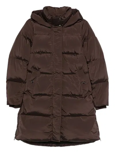 Woolrich Kelly Jacket In Brown