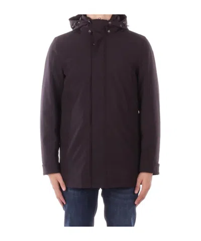 Woolrich Long Sleeved Hooded Buttoned Coat In Purple