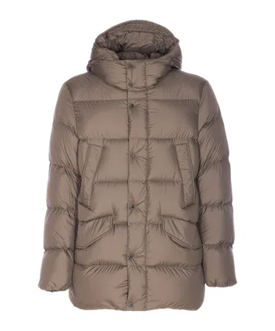 Woolrich Long Sleeved Hooded Down Jacket In Brown