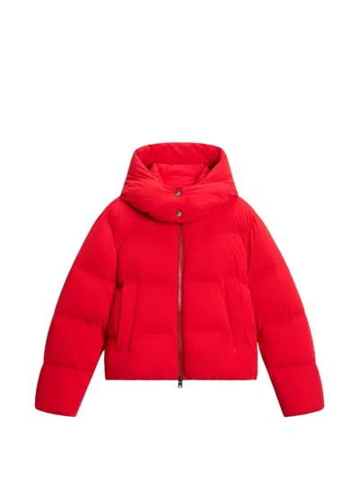 Woolrich Madison Quilted Hooded Jacket In Orange