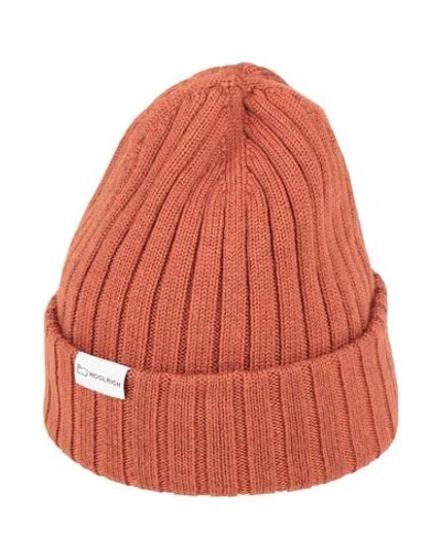 Woolrich Man Hat Brown Size Xl Merino Wool In Orange