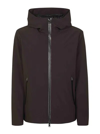 Woolrich Pacific Soft Shell Jacket In Black