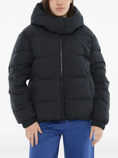 Woolrich Quilted Hooded Jacket In Blue