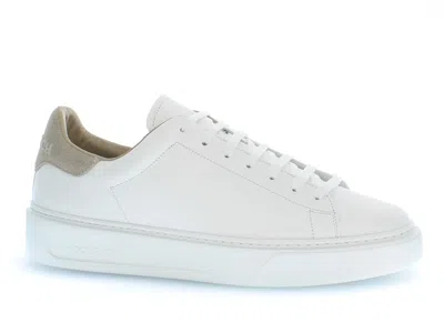 Woolrich Sneakers In White