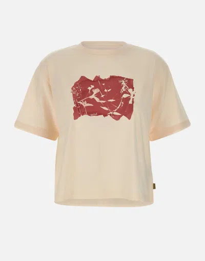 Woolrich T-shirts And Polos