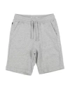 Woolrich Toddler Boy Shorts & Bermuda Shorts Light Grey Size 6 Cotton In Grey
