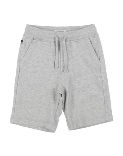 Woolrich Babies'  Toddler Boy Shorts & Bermuda Shorts Light Grey Size 6 Cotton In Gray