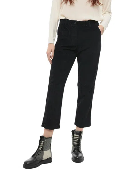 Woolrich Women Black Straight Fit Pant