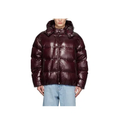 Wooyoungmi Long-sleeved Hooded Down Jacket In Multicolor