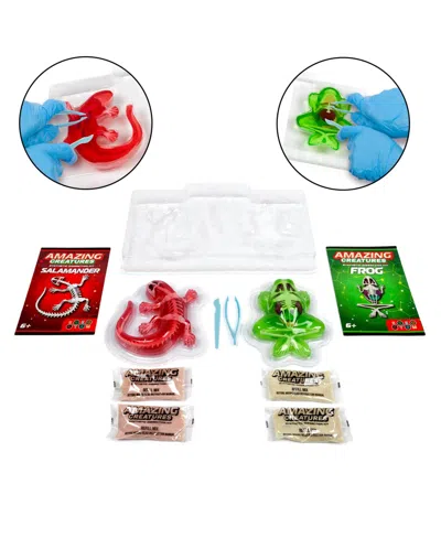 World Tech Toys Amazing Creatures Synthetic Dissection Kit In Multi
