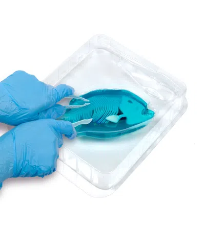World Tech Toys Amazing Creatures Synthetic Dissection Kit In Multi