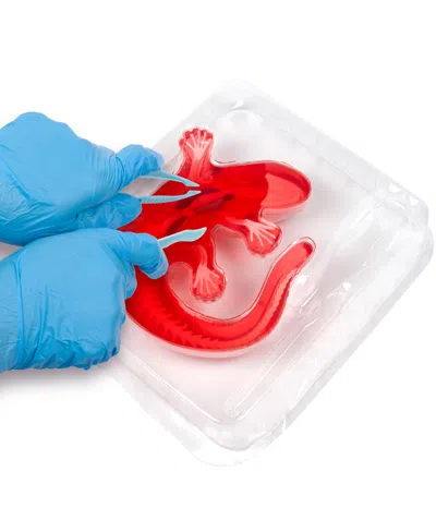 World Tech Toys Amazing Creatures Synthetic Dissection Kit In Multi