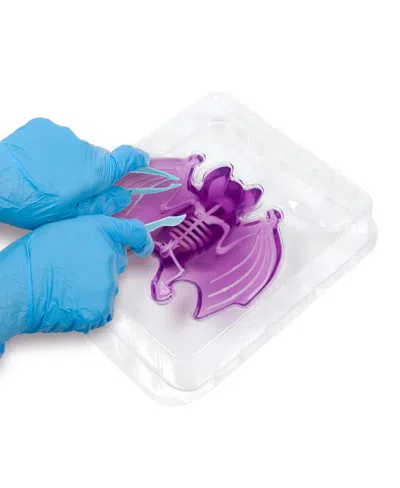 World Tech Toys Amazing Creatures Synthetic Dissection Kit In Multi