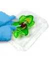 World Tech Toys Amazing Creatures Synthetic Dissection Kit In Multi