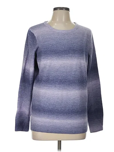 Pre-owned Worthington Pullover Sweater In Blue