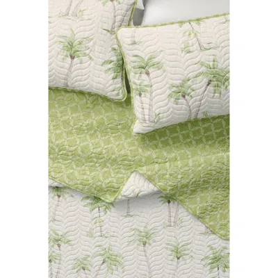 Woven & Weft Coastal Print Quilt & Shams Set In West Palm Trees