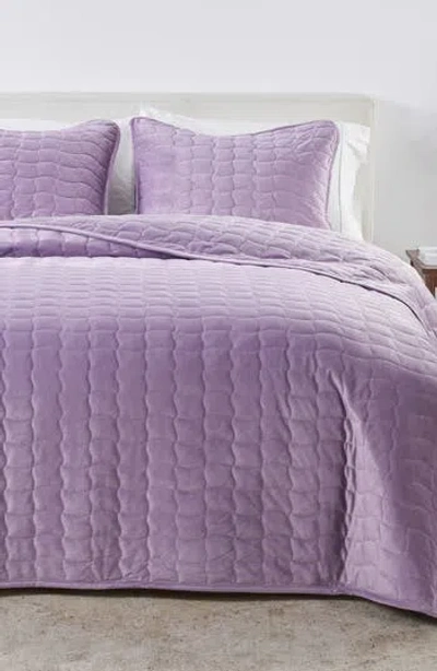 Woven & Weft Velvet Box Stitch Quilt Set In Purple