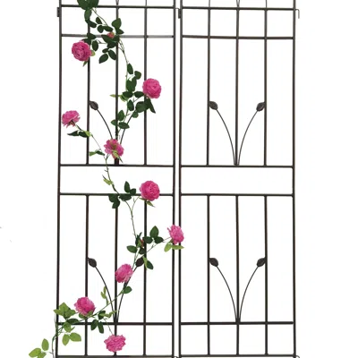 Wow Pioneer 2 Pack Garden Trellis For Climbing Plants Outdoor Support
