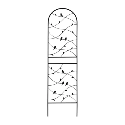 Wow Pioneer 2 Pack Garden Trellis For Climbing Plants Outdoor Use