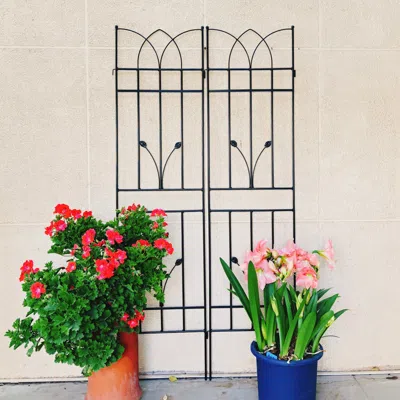 Wow Pioneer 2 Pack Outdoor Garden Trellis For General Plant Support