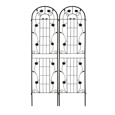 Wow Pioneer 2 Pack Tall Climbing Plant Support Trellis For Outdoor Garden Use