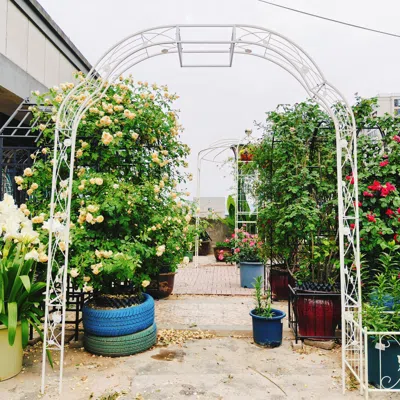 Wow Pioneer Garden Arch Arbor Trellis Climbing Plant Outdoor Support Structure