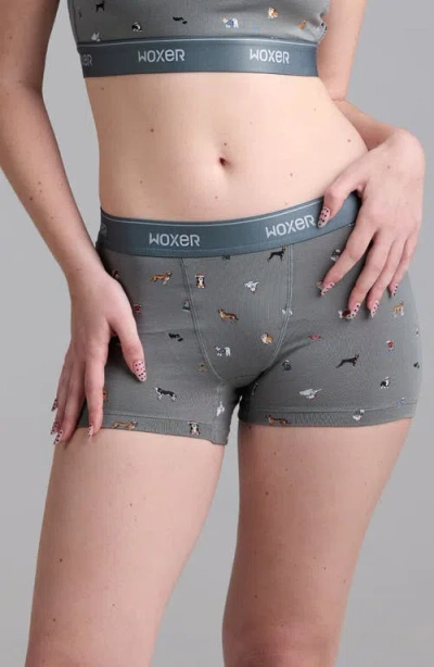 Woxer Star Candy Boxer Briefs In Gray
