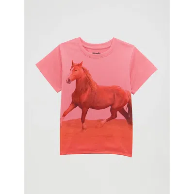 Wrangler Kids' Girl's  Western Graphic Tee In Pink