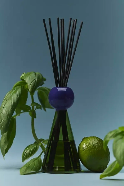 Wxy Fresh Basil & Sweet Lime Glass Reed Diffuser
