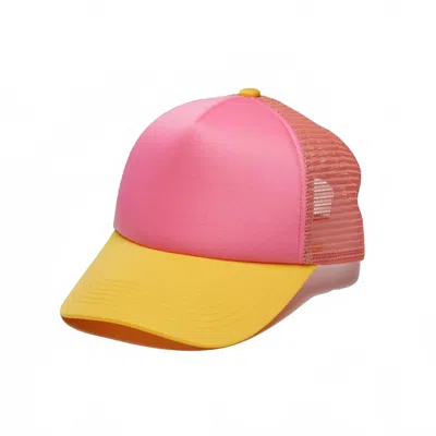 Wyeth Britt Hat In Pink
