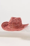Wyeth Flat-brim Straw Rancher In Pink