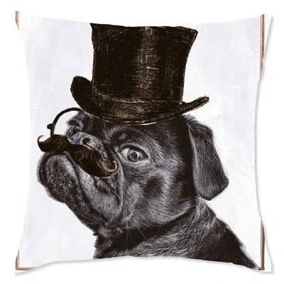 Wynwood Studio Accessories Square Pillow Cover & Insert