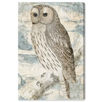 Wynwood Studio Animals Vintage Owl, Traditional Brown On Canvas Graphic Art In Wrapped Canvas