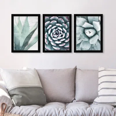 Wynwood Studio Floral And Botanical 40834 Nature Succulent Set 40834 Nature Succulent Set Modern & Contemporary Gre In Black Framed