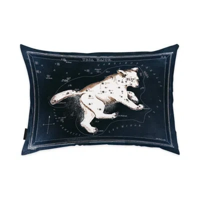 Wynwood Studio Zodiac Rectangular Pillow Cover & Insert