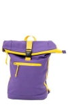 X-ray Xray Waterproof Expandable Backpack In Multi