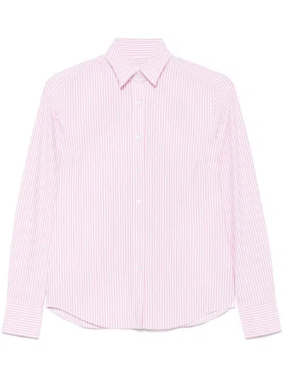 Xacus Premium Pink Shirt With Classic Collar And Vertical Stripes