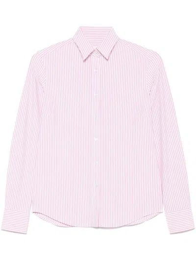 Xacus White And Pink Vertical Stripes Pattern Shirt