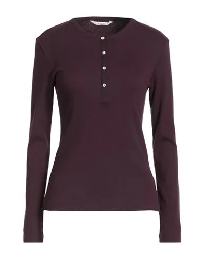 Xacus Woman Polo Shirt Dark Purple Size M Cotton