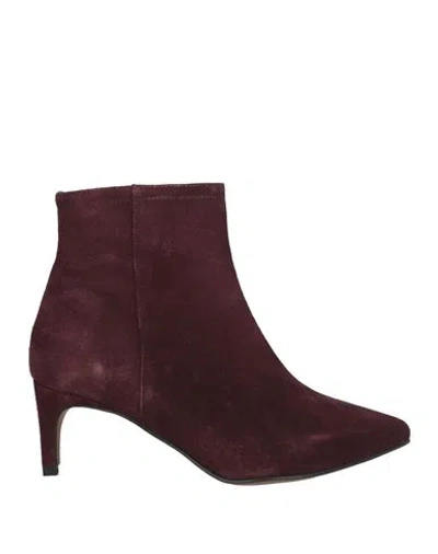 Xandres Woman Ankle Boots Burgundy Size 7 Leather In Red