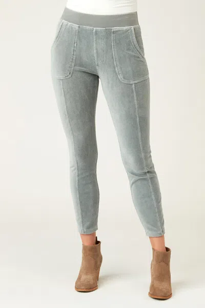 Xcvi Abney Legging