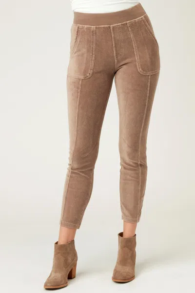 Xcvi Abney Legging