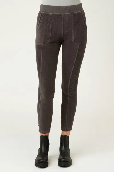 Xcvi Abney Legging