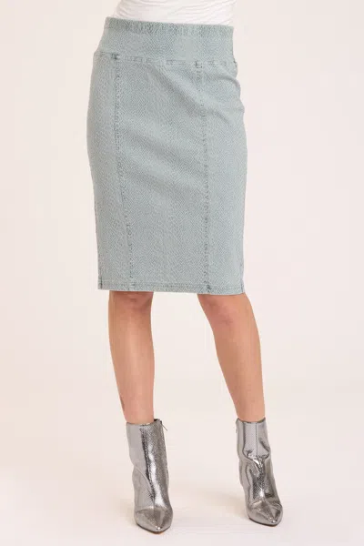 Xcvi Arleigh High Waist Skirt In Blue