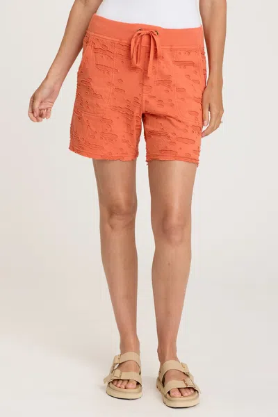 Xcvi Babette Short In Orange
